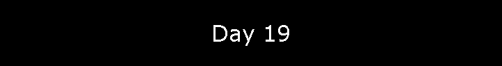 Day 19