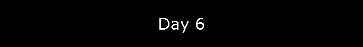 Day 6
