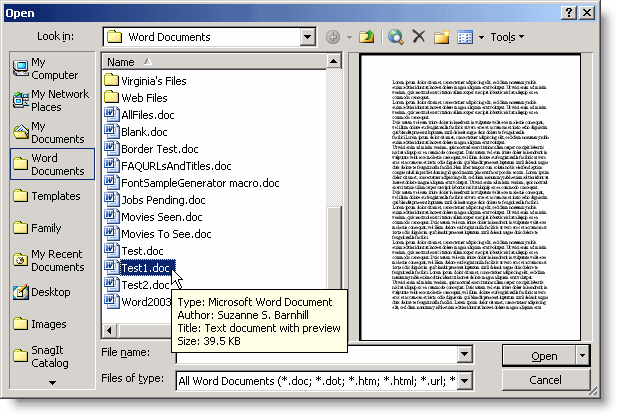 Preview of dummy text document